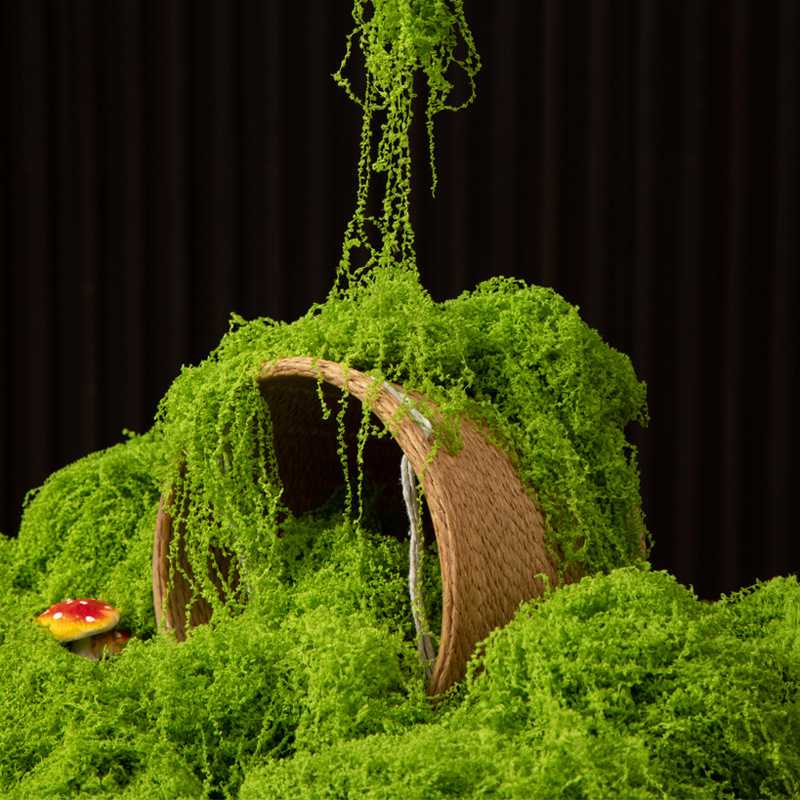 Muschio Eterno 200g per Artigi - Terrarium Moss Art recensione e prezzo