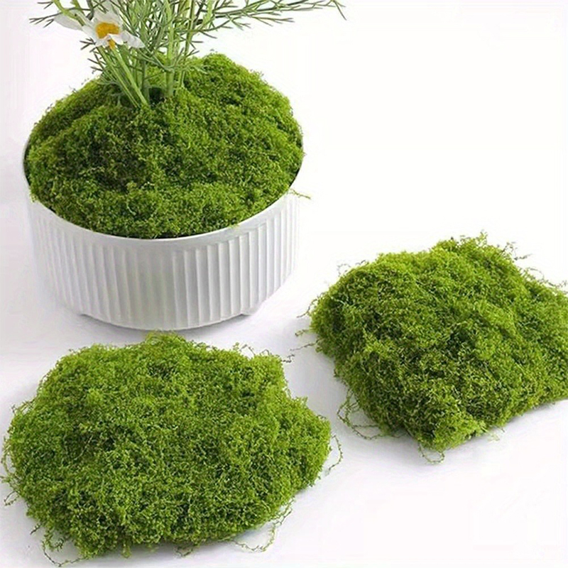 Verde finto muschio artigianat - Terrarium Moss Art recensione e prezzo